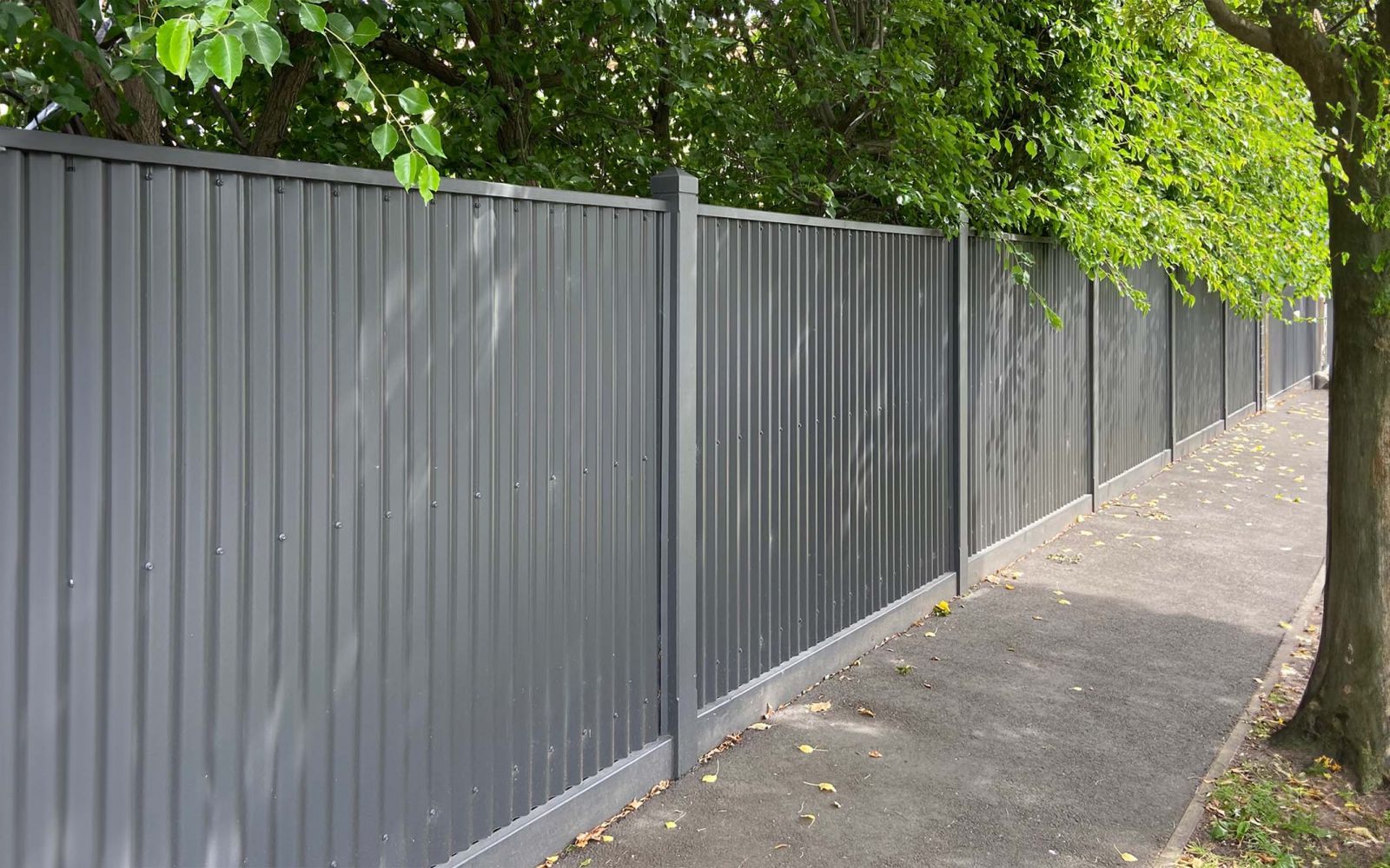 Colour Bond Fence